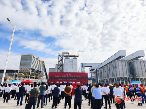 甘肅農墾亞盛種業中墾玉種子加工廠在張掖落成，助力種業現代化發展